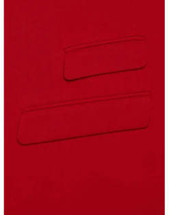 Paisley & Gray Slim Fit Suit Separates Coat, Hot Rod Red 12 Paisley & Gray Slim Fit Suit Separates Coat, Hot Rod Red -Male Clothing Store MW40 3XJW 11 PAISLEY GRAY HOT ROD RED ALT4