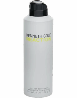 Kenneth Cole Reaction For Men, 6.0 Oz. Body Spray